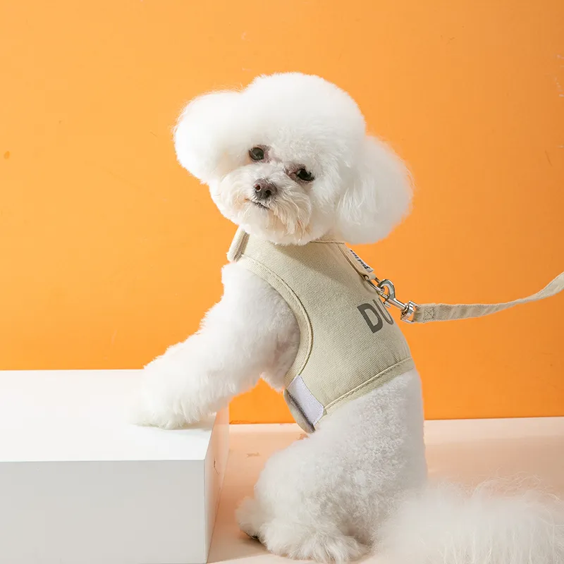 Hippie dogs Leashes-2