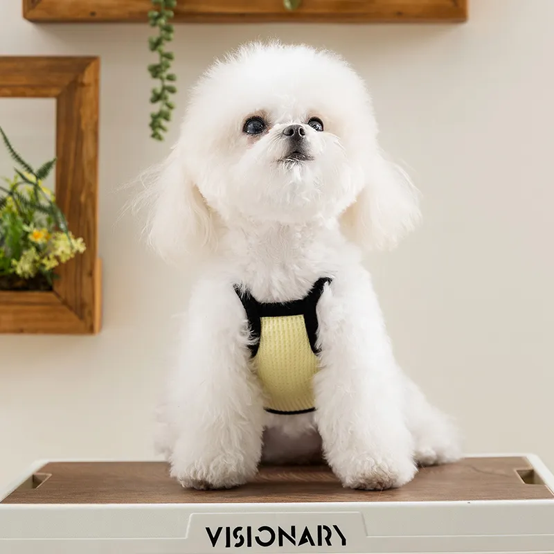 Hippie dogs Pet Clothing-6