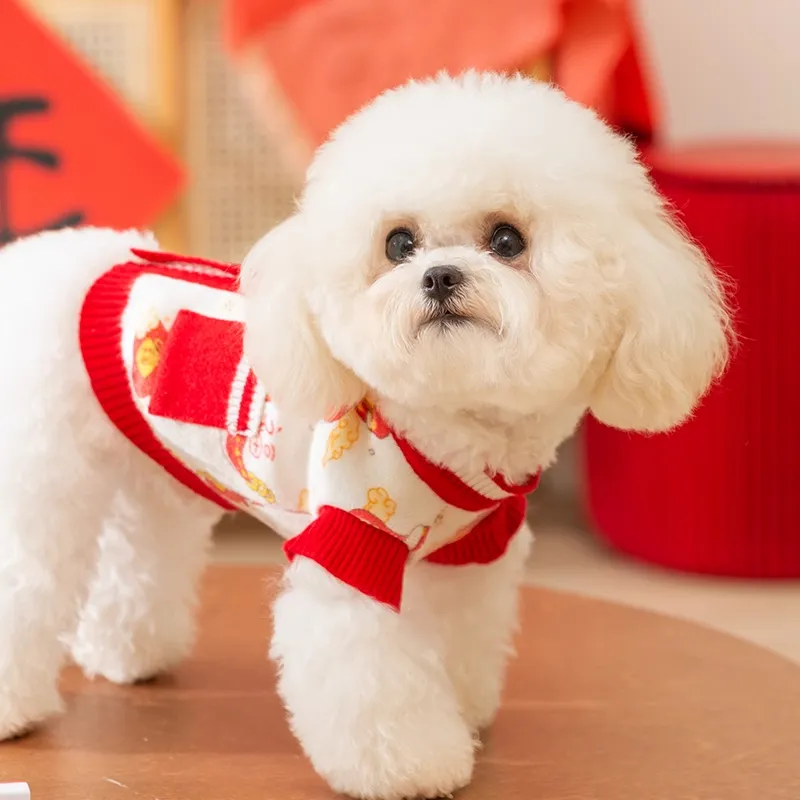 Hippie dogs Pet Clothing-3
