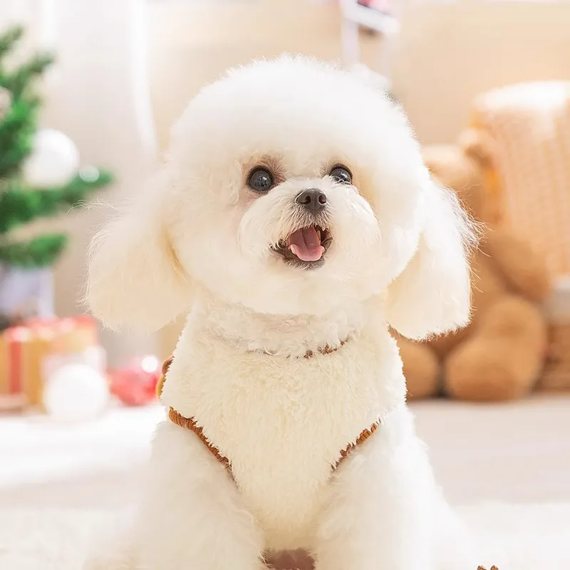 Hippie dogs Pet Clothing-2