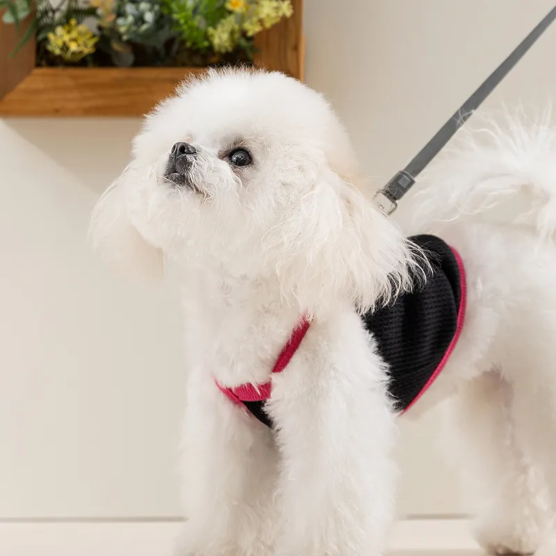 Hippie dogs Pet Clothing-3