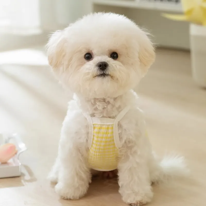 Hippie dogs Pet Clothing-1