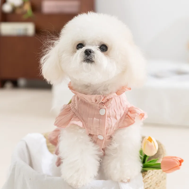Hippie dogs Pet Clothing-2