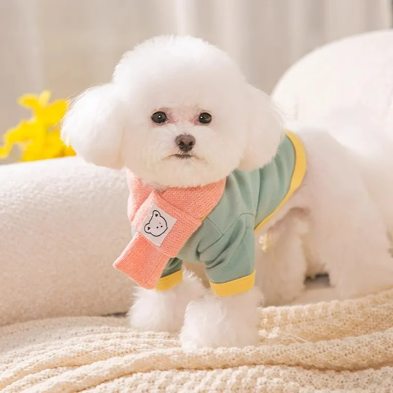 Hippie dogs Pet Clothing-6