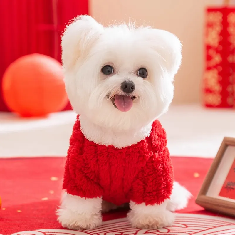 Hippie dogs Pet Clothing-2