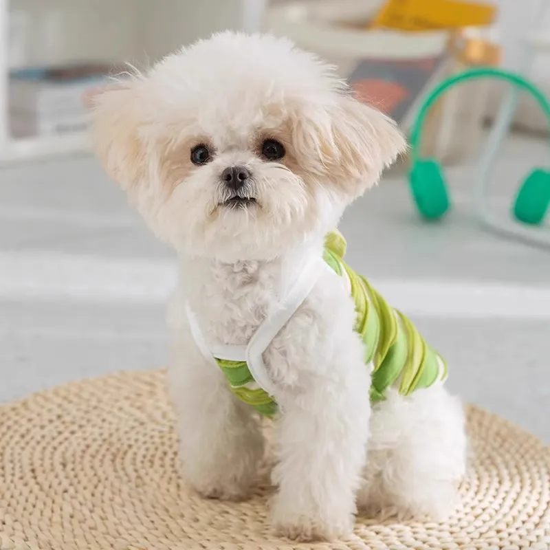 Hippie dogs Pet Clothing-4