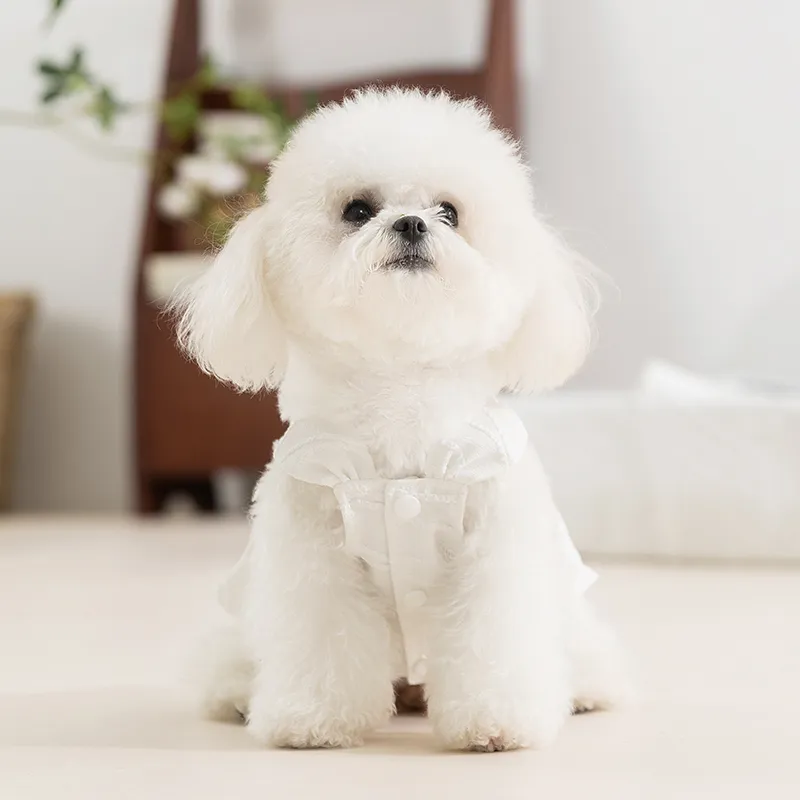 Hippie dogs Pet Clothing-2