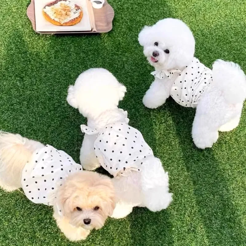 Hippie dogs Pet Clothing-4