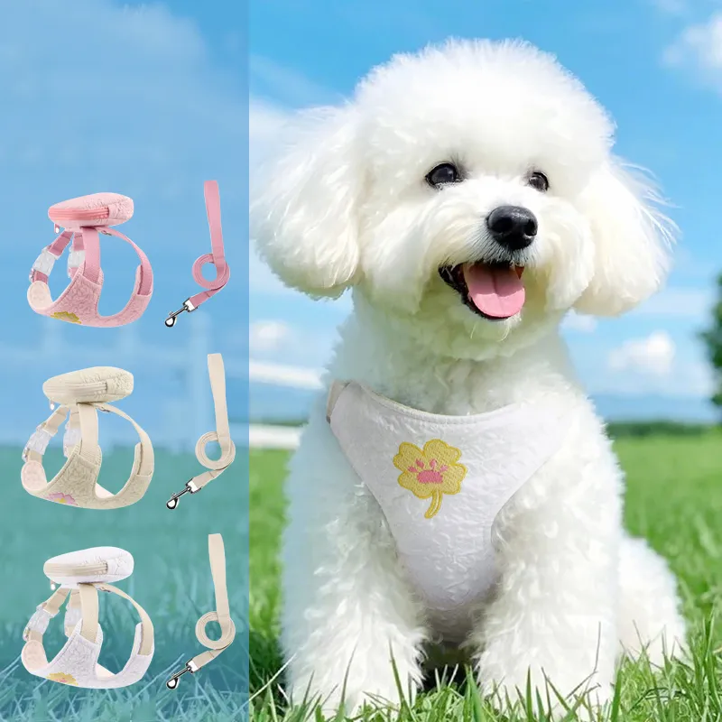 Hippie dogs Leashes-4