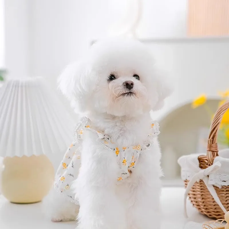 Hippie dogs Pet Clothing-3