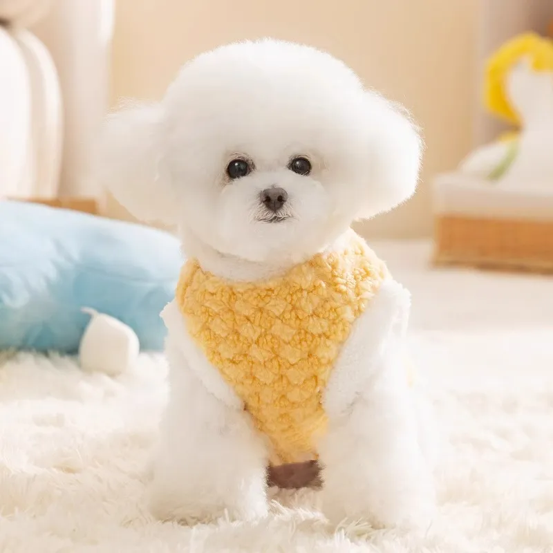 Hippie dogs Pet Clothing-2