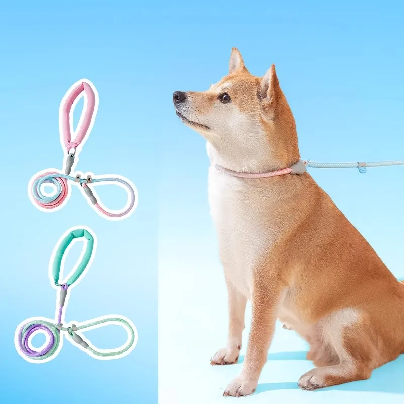 Hippie dogs Leashes-1