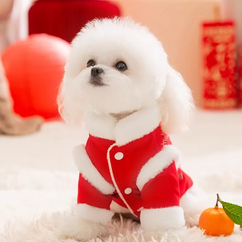 Hippie dogs Pet Clothing-3