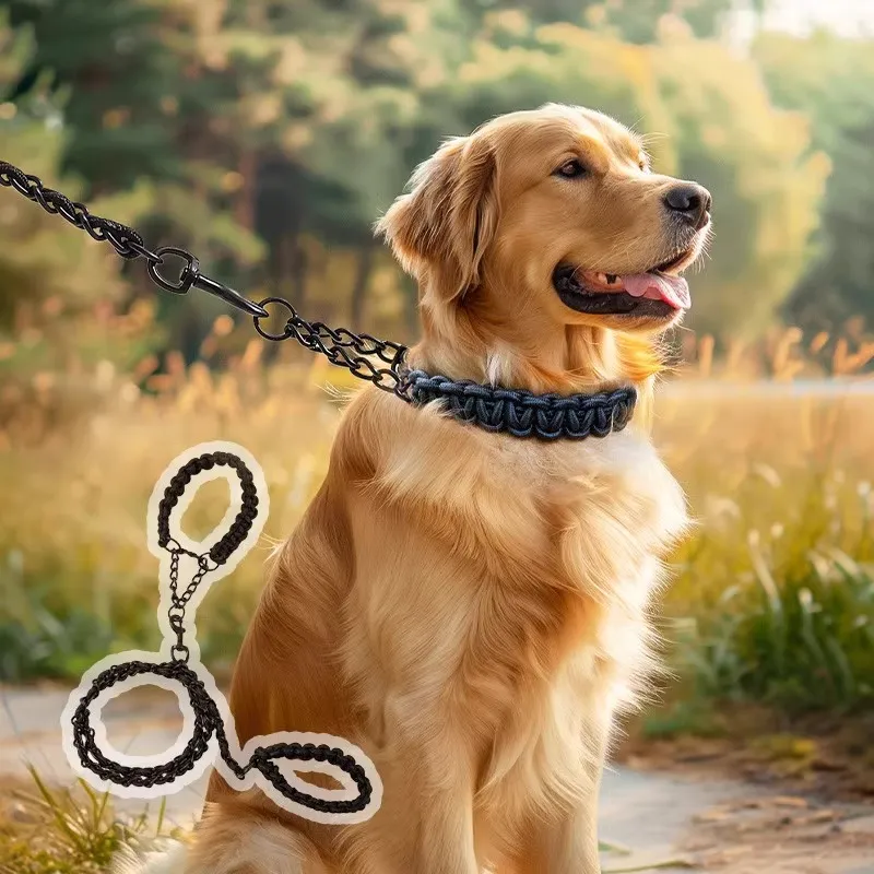 Hippie dogs Leashes-1