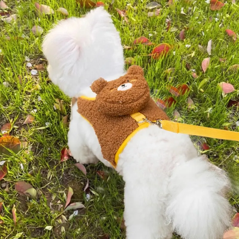 Hippie dogs Leashes-5