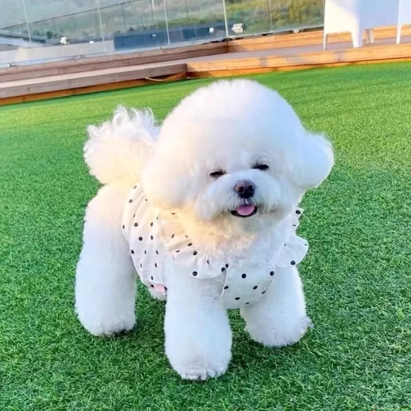 Hippie dogs Pet Clothing-3