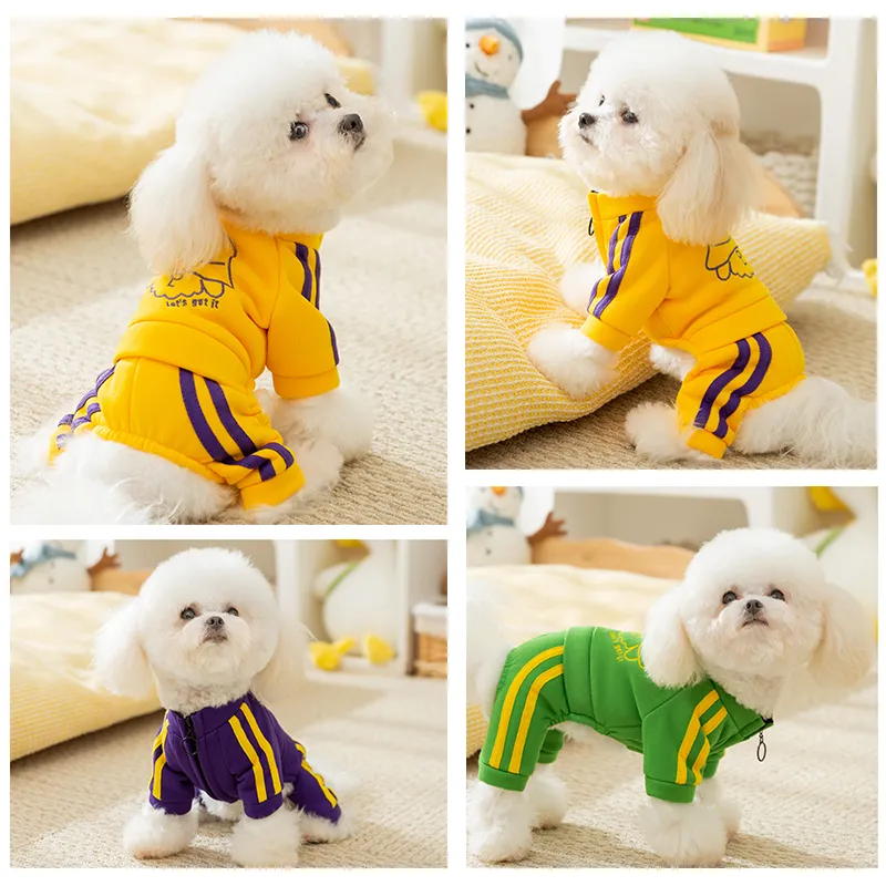 Hippie dogs Pet Clothing-5