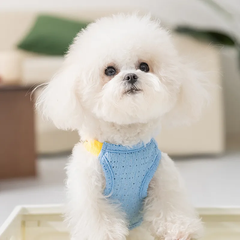 Hippie dogs Pet Clothing-2