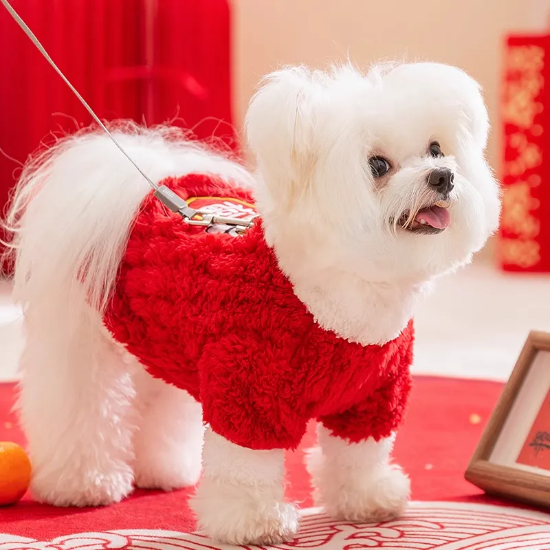Hippie dogs Pet Clothing-3