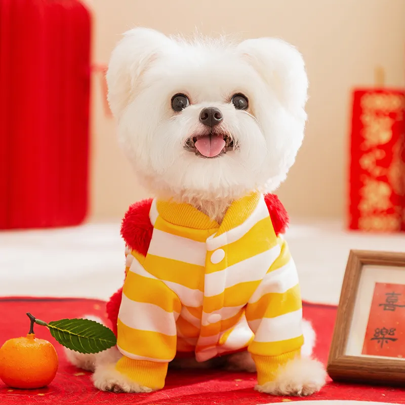 Hippie dogs Pet Clothing-2