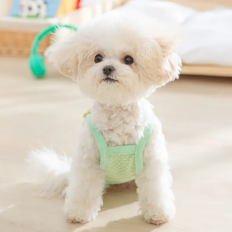 Hippie dogs Pet Clothing-2
