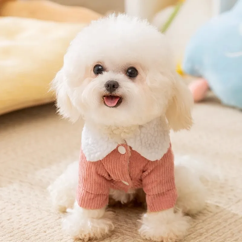 Hippie dogs Pet Clothing-4
