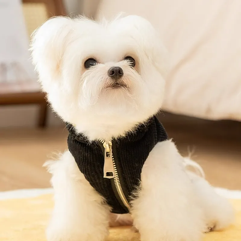 Hippie dogs Pet Clothing-2