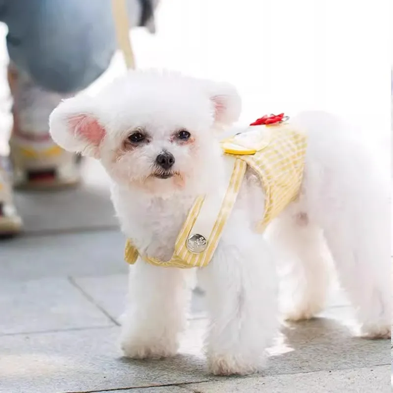 Hippie dogs Leashes-2