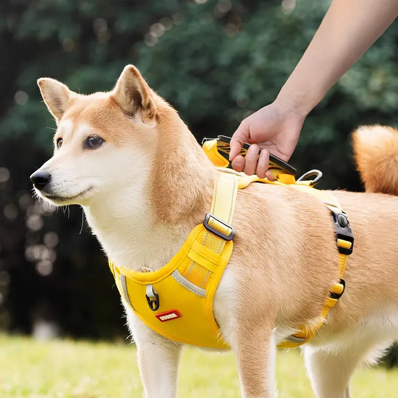 Hippie dogs Leashes-4