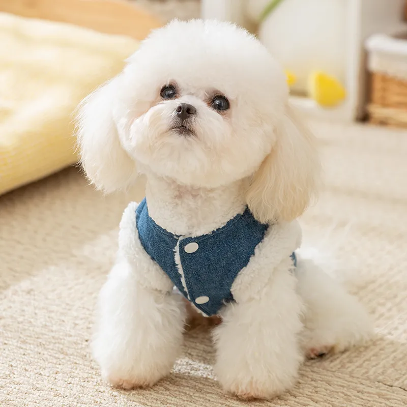 Hippie dogs Pet Clothing-2