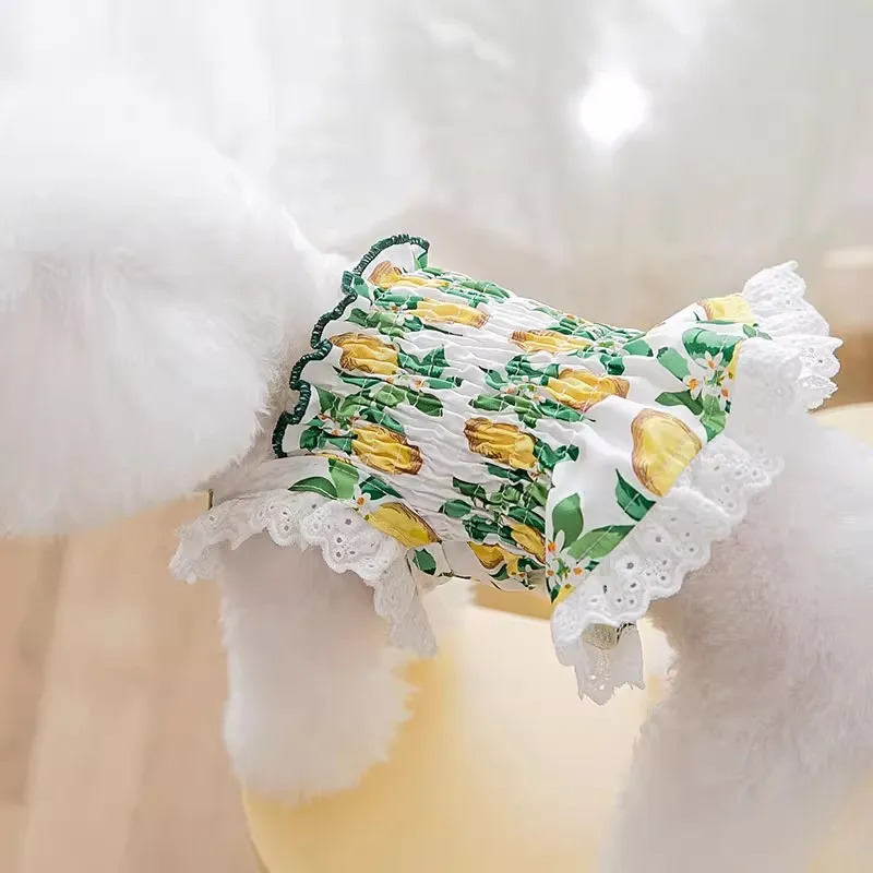 Hippie dogs Pet Clothing-1