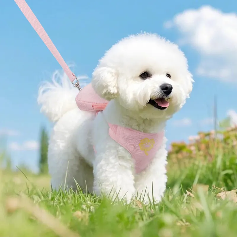 Hippie dogs Leashes-1