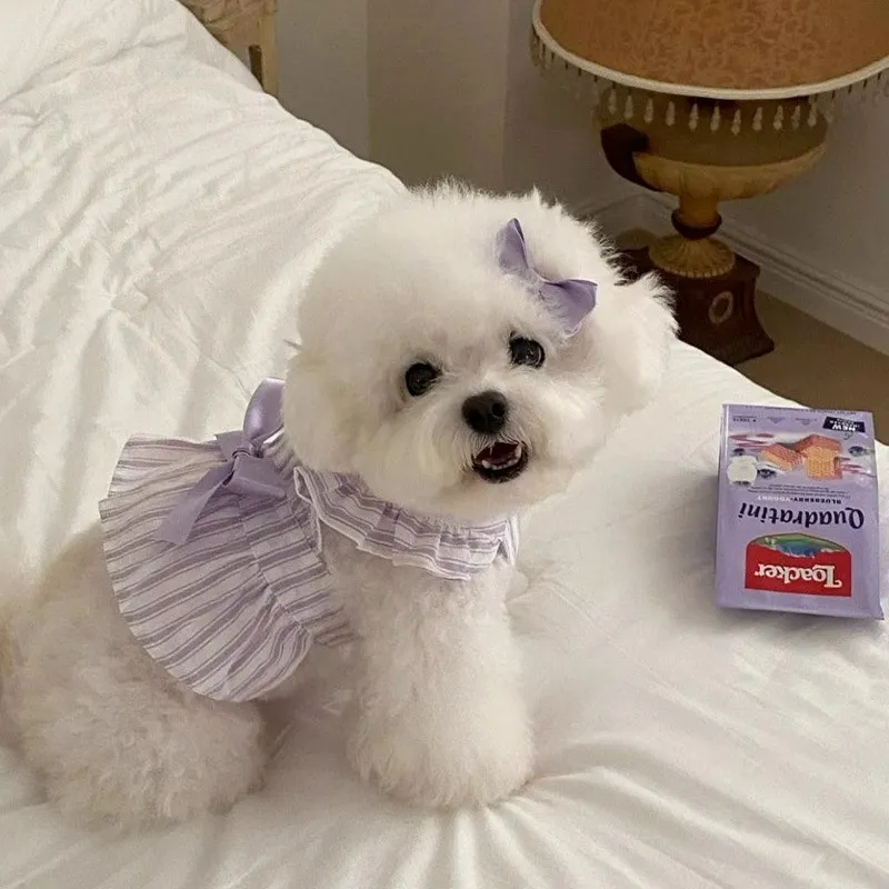 Hippie dogs Pet Clothing-3