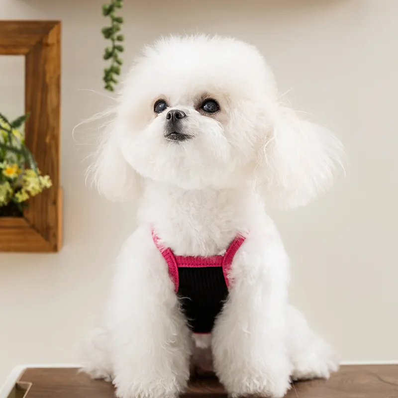 Hippie dogs Pet Clothing-2