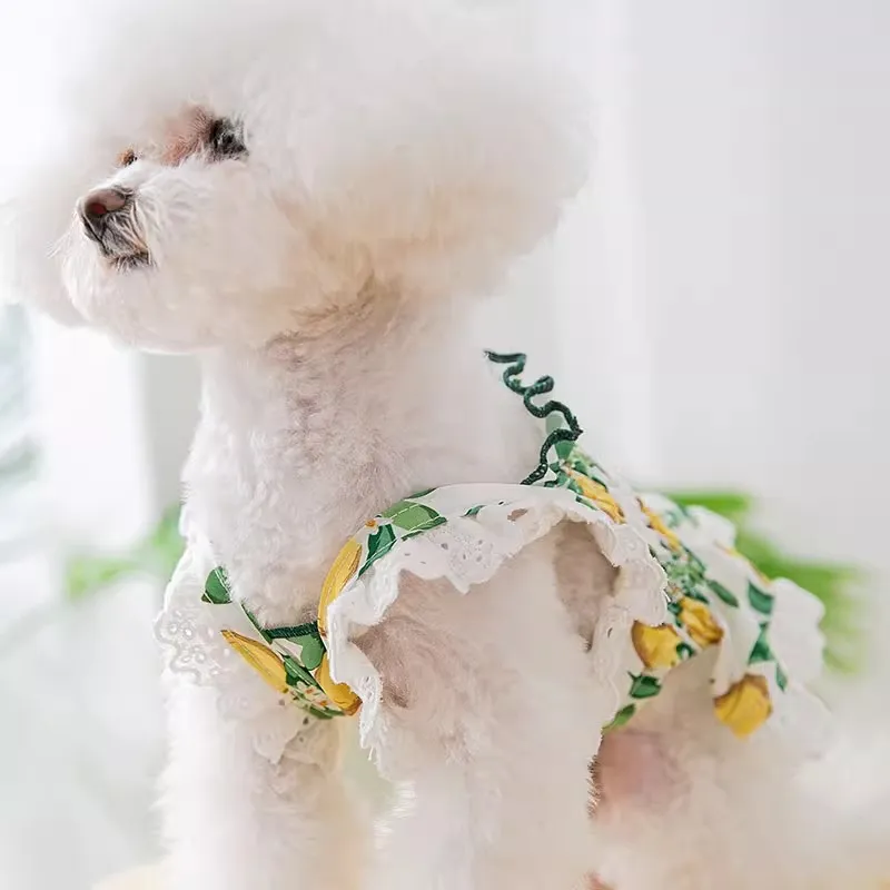 Hippie dogs Pet Clothing-3