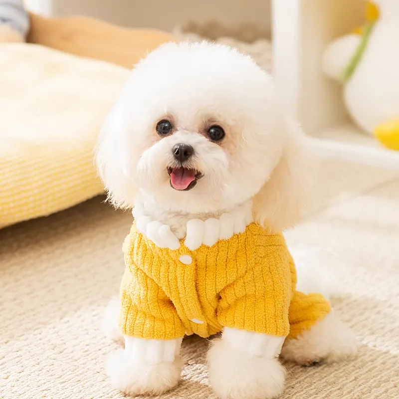 Hippie dogs Pet Clothing-2
