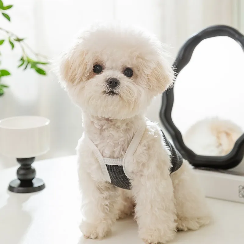 Hippie dogs Pet Clothing-2