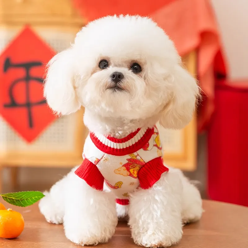 Hippie dogs Pet Clothing-2