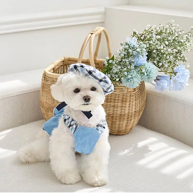 Hippie dogs Pet Clothing-2
