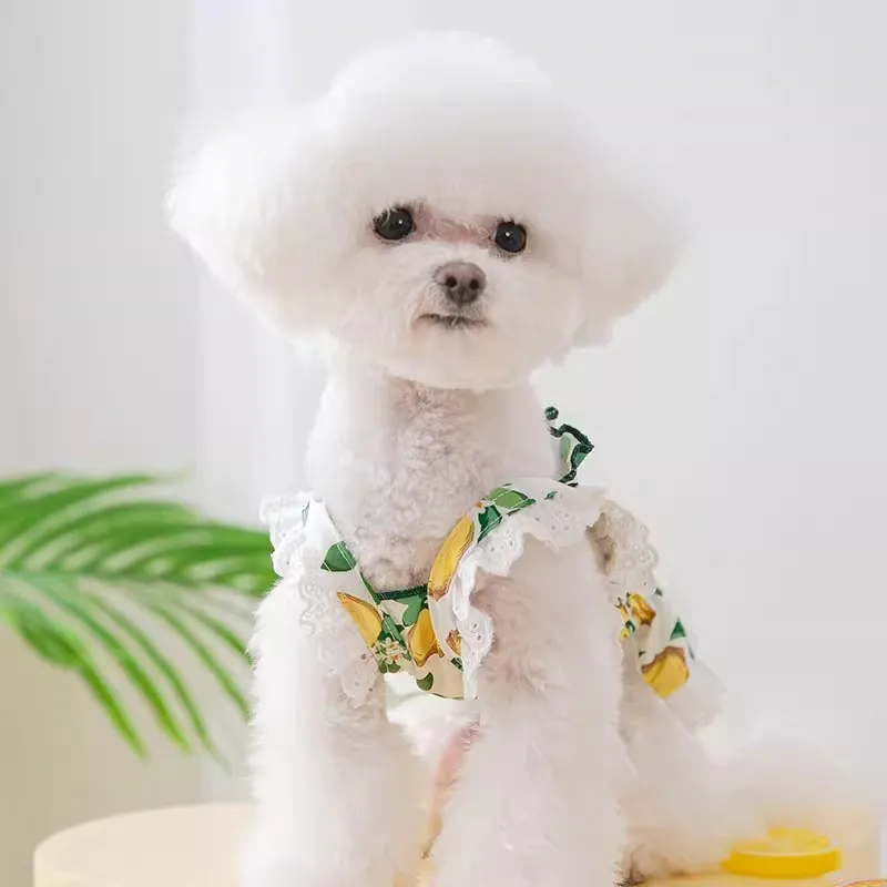 Hippie dogs Pet Clothing-2