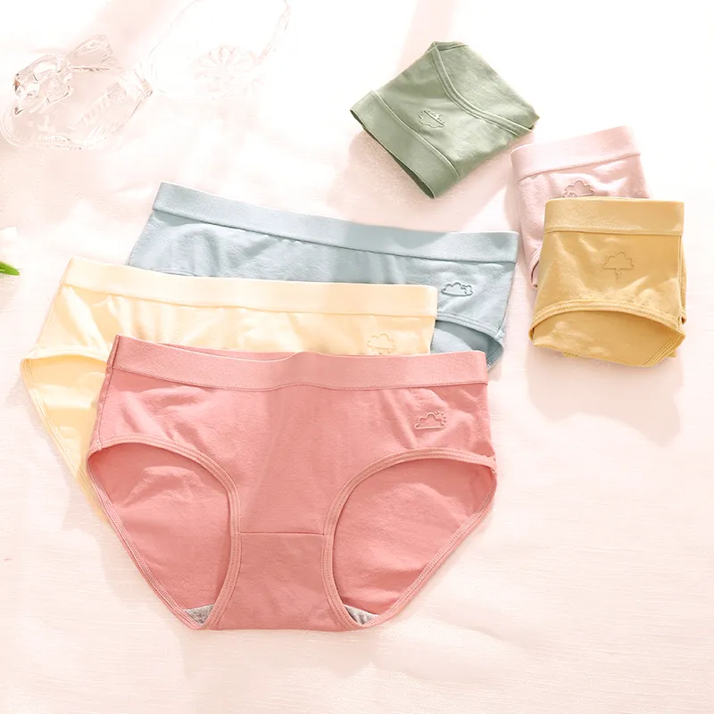 ROBINHOOD Underpants Women's Combo Set-1