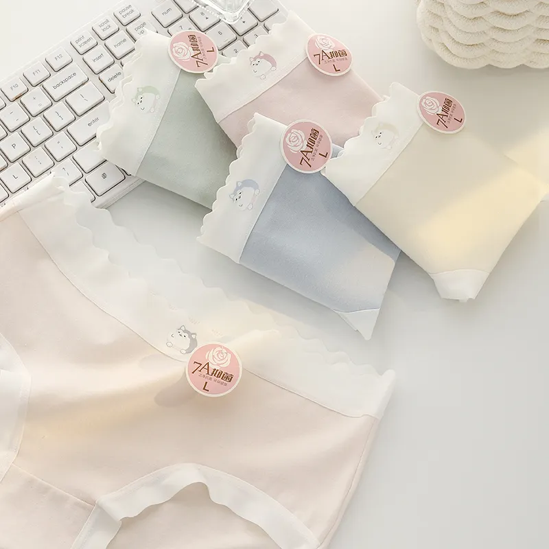 ROBINHOOD Underpants Women's Combo Set-4