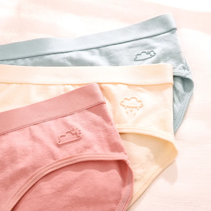 ROBINHOOD Underpants Women's Combo Set-17