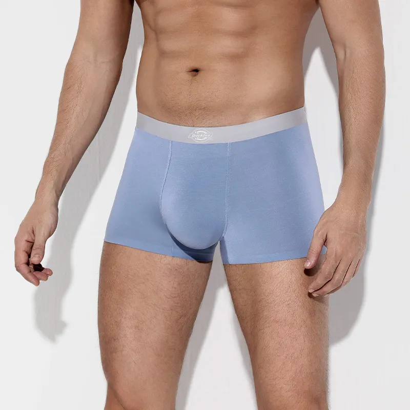 Dickies Underpants Men's Box 3 Pack-18
