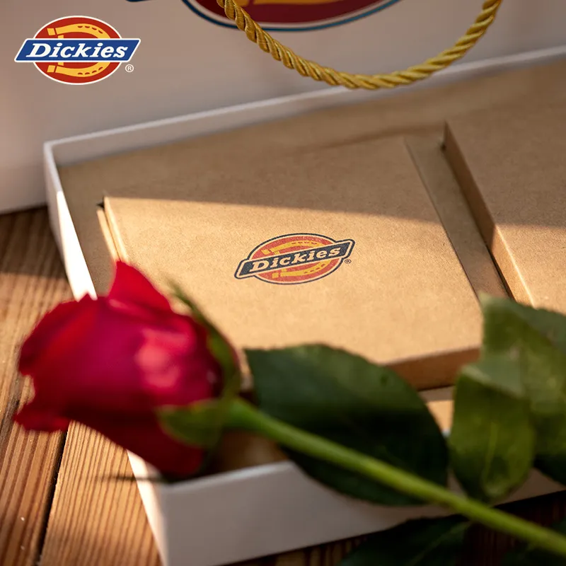Dickies Cotton Like Gusset Underpants Men's Gift Box 3 Pieces+Handbag-4