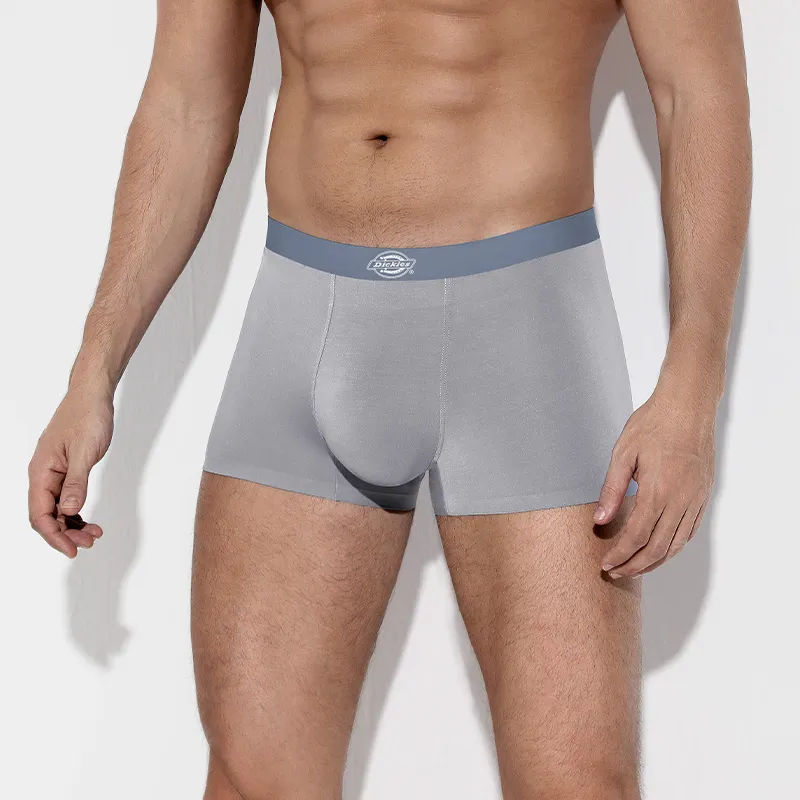 Dickies Underpants Men's Box 3 Pack-7