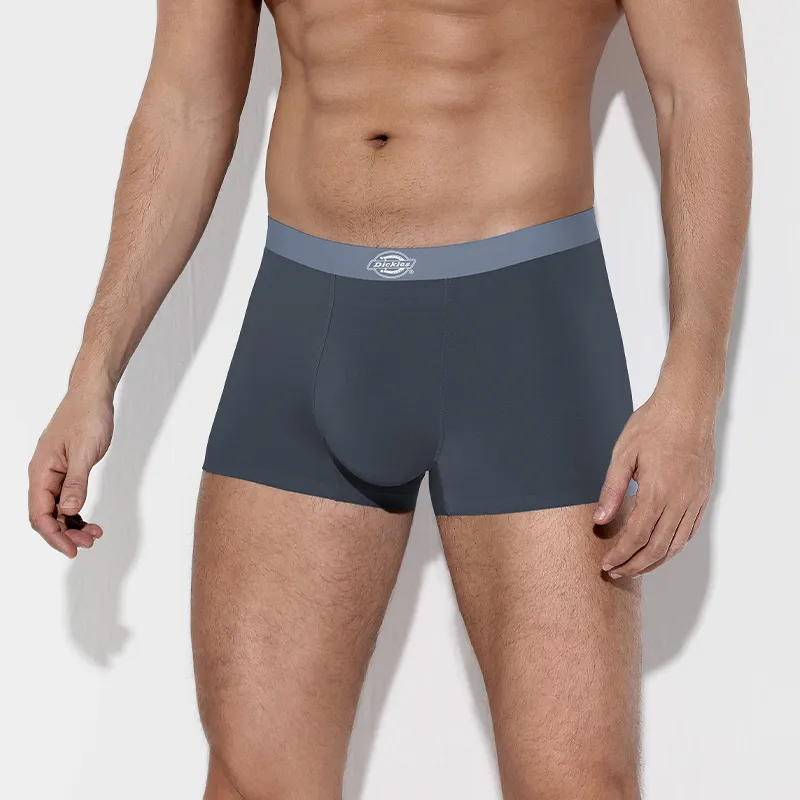 Dickies Underpants Men's Box 3 Pack-23