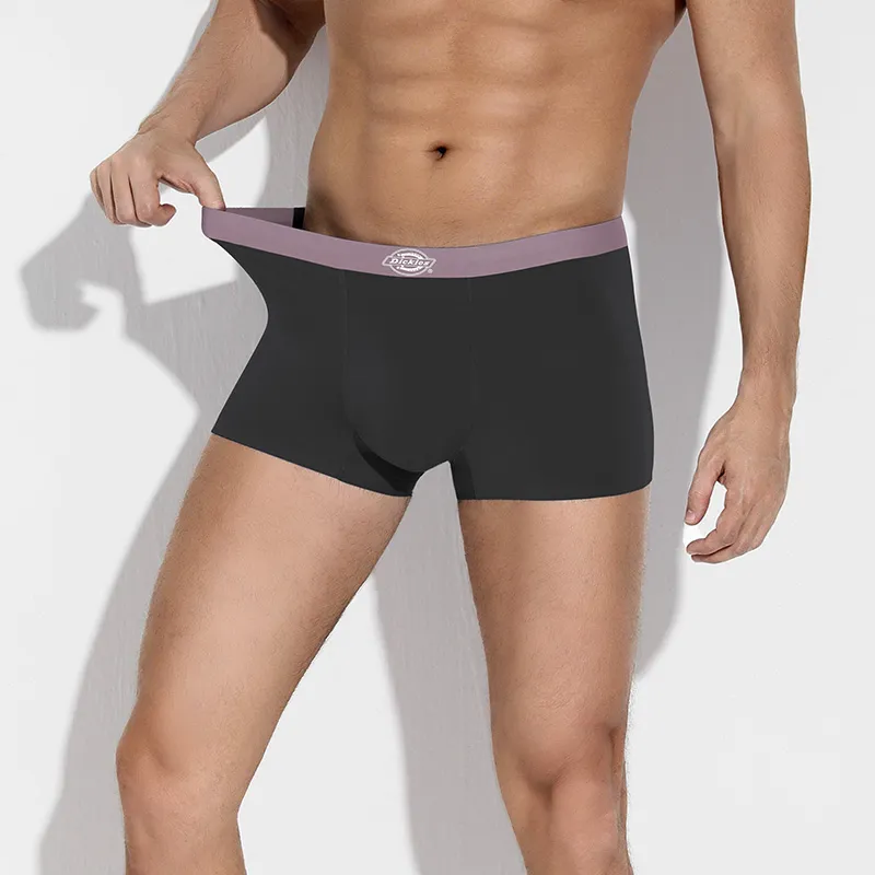 Dickies Underpants Men's Box 3 Pack-4