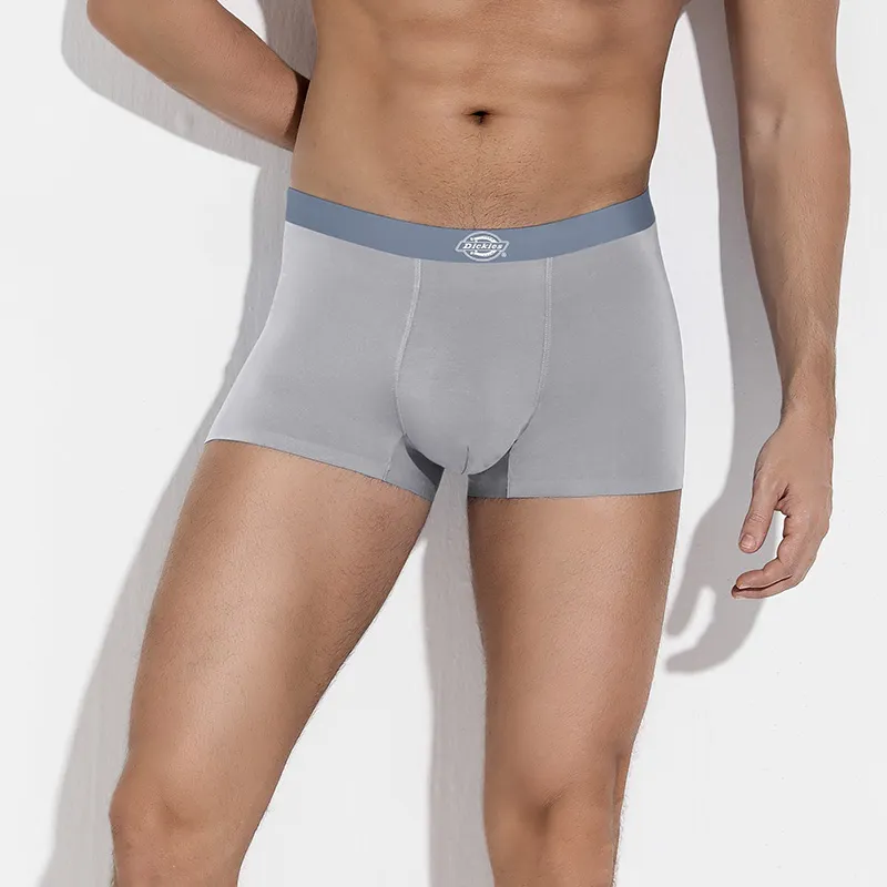 Dickies Underpants Men's Box 3 Pack-8