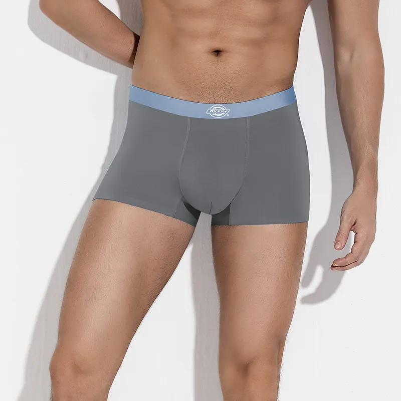 Dickies Underpants Men's Box 3 Pack-13